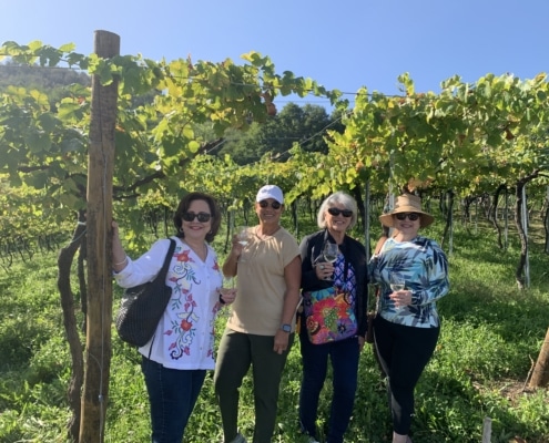 wine tour from san sebastian