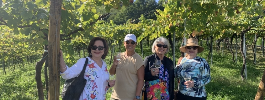 wine tours from san sebastian wine tour from san sebastian